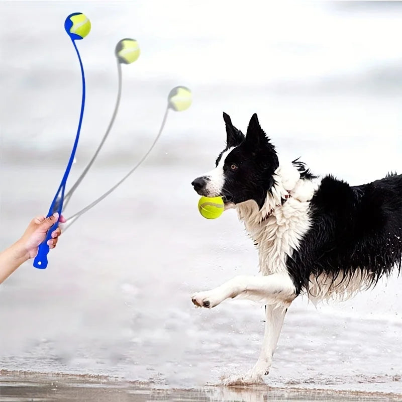 Dog ball launcher stick with a tennis ball in the park – photo 5