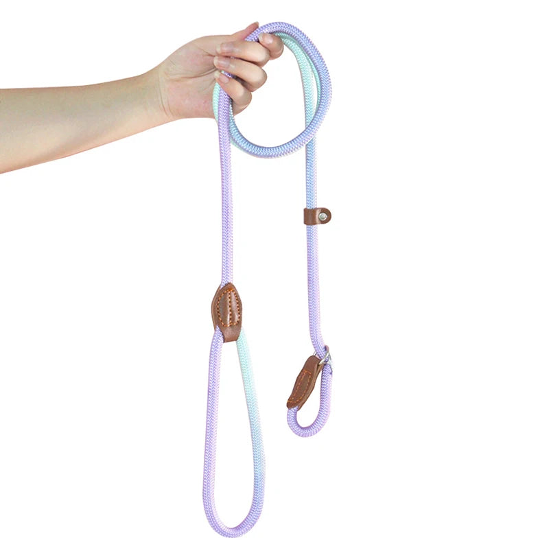 Braided Slip Lead for Dogs