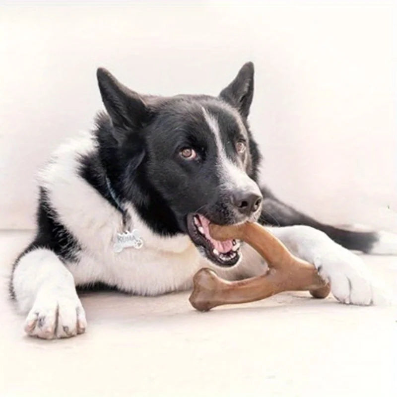 Brown bone-shaped chew toy for medium and large dogs – photo 5