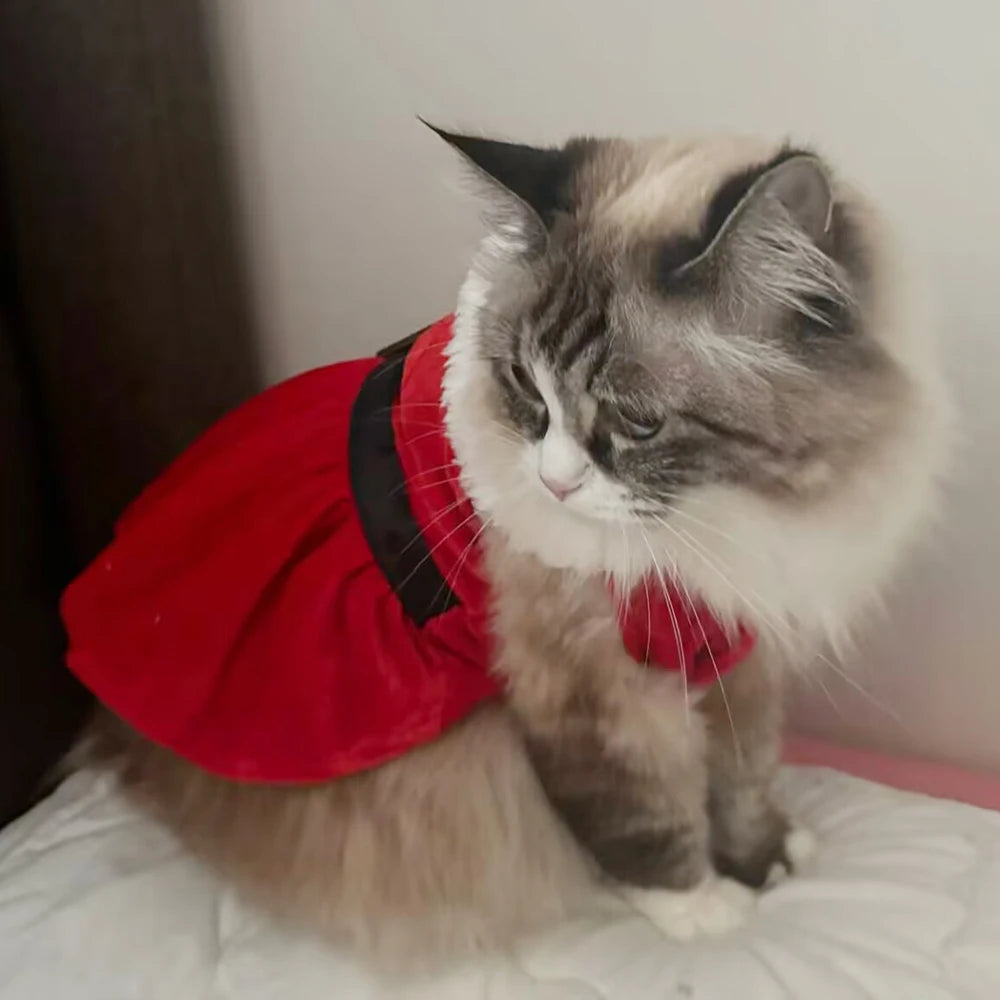 Santa Christmas Dress for Cats & Small Dogs