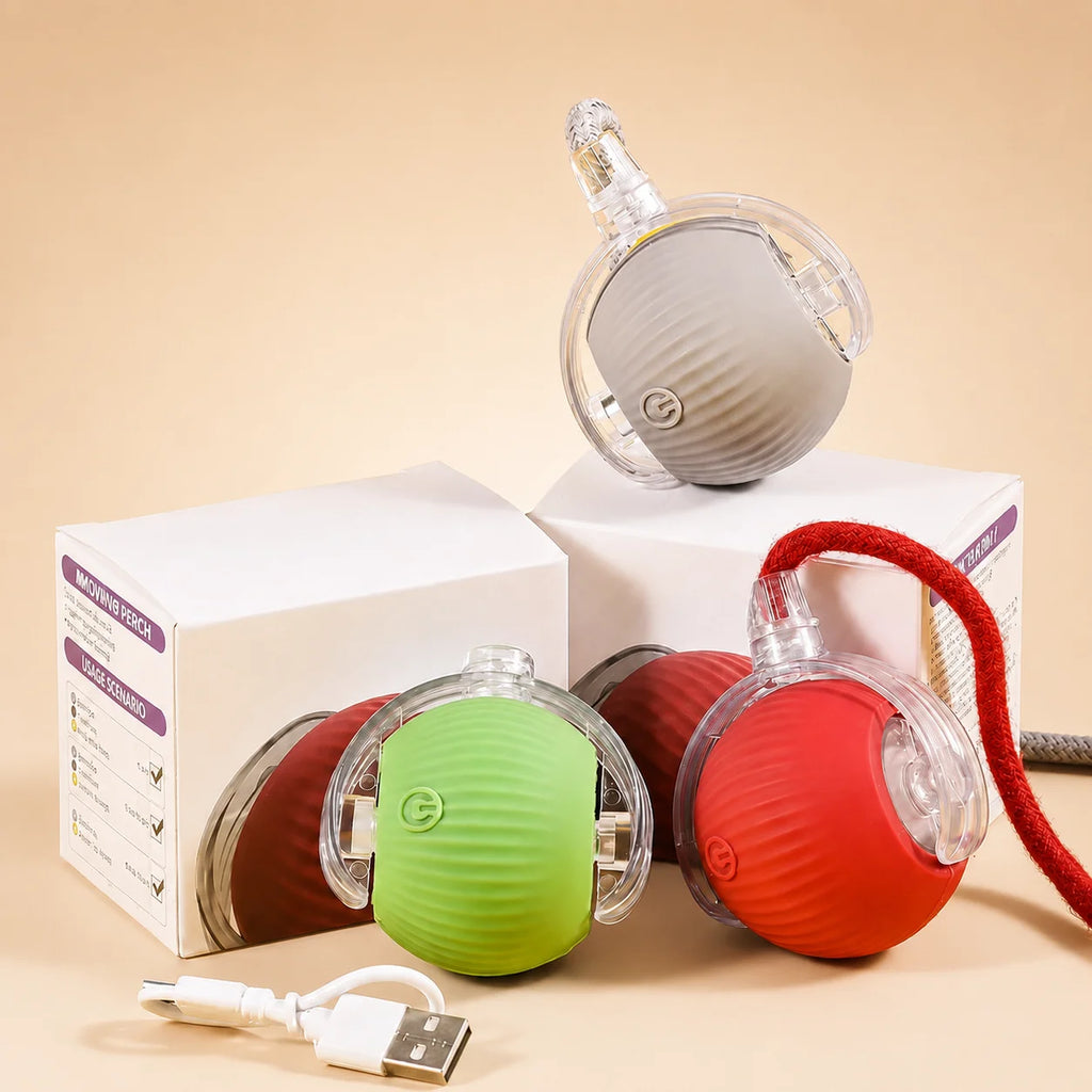 Rechargeable Automatic Rolling Ball for Cats