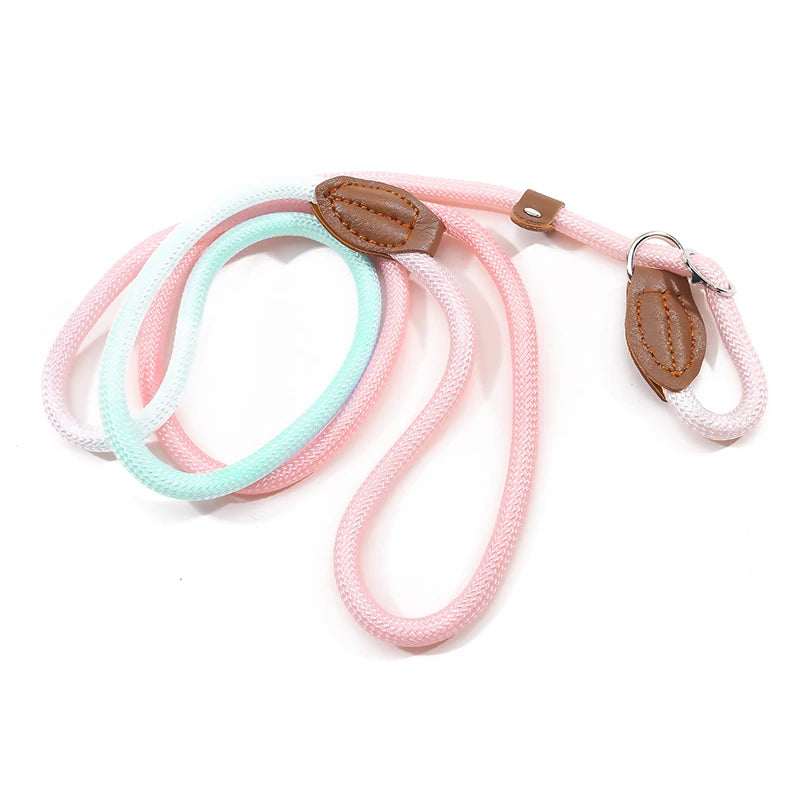 Braided Slip Lead for Dogs
