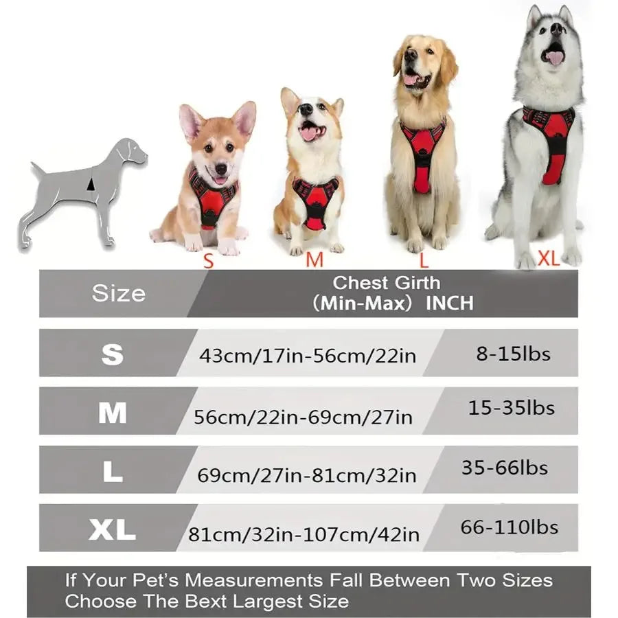Colourful vest dog harness – photo 6