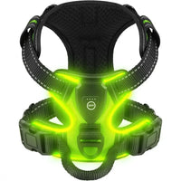 Light-Up LED Dog Harness, Rechargeable with Reflective Trim