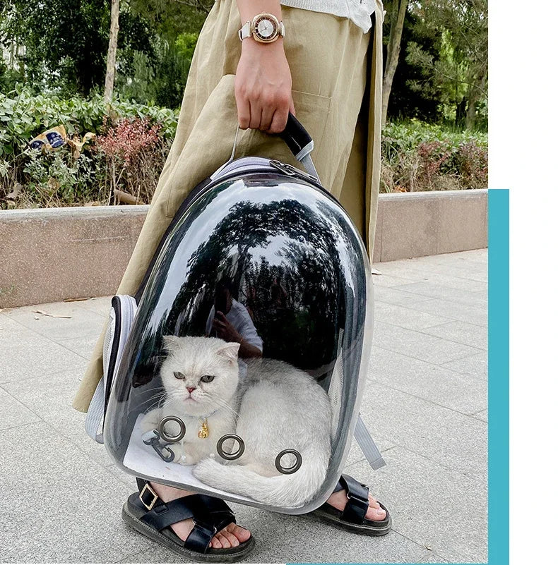 Clear Bubble Pet Carrier Backpack for Cats