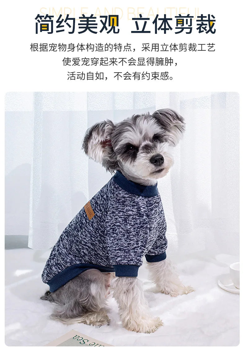 Small dog wearing a soft knitted round neck jumper – photo 4