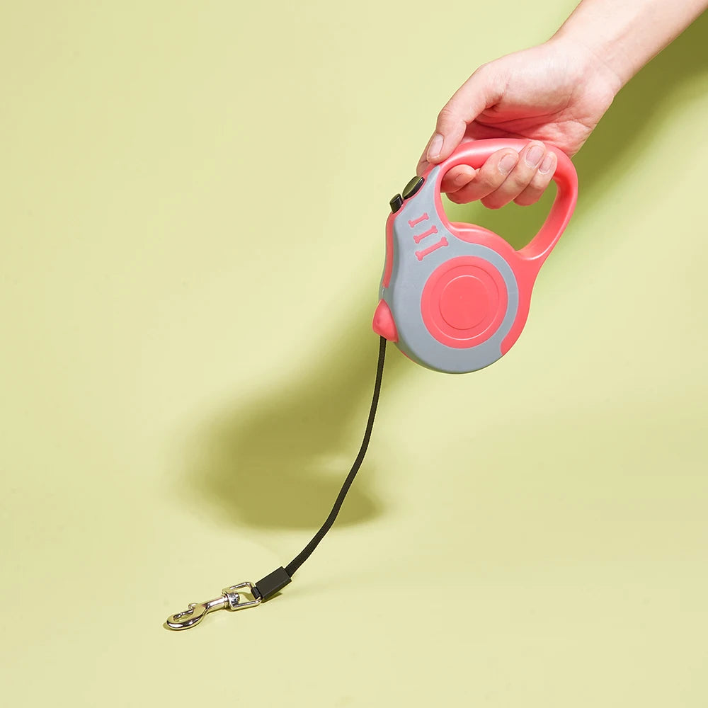 Retractable Dog Lead for Small Dogs