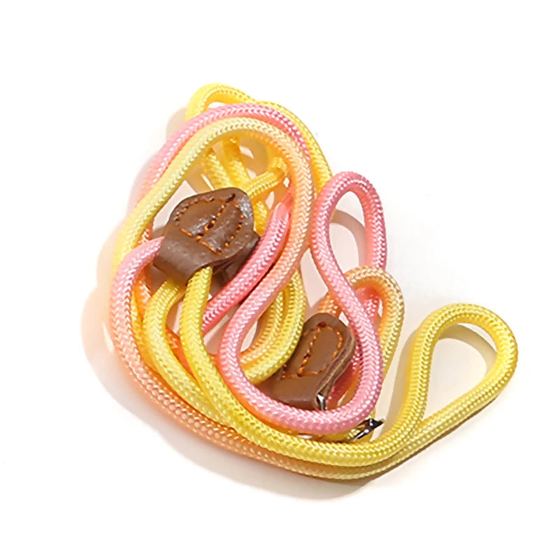 Braided Slip Lead for Dogs
