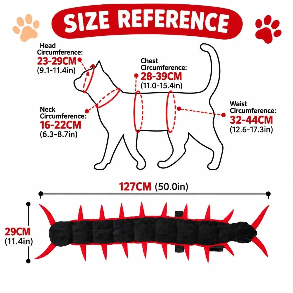 Cat wearing a wiggly centipede costume – photo 6