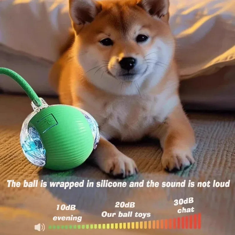 Rechargeable Rolling Ball Toy for Dogs