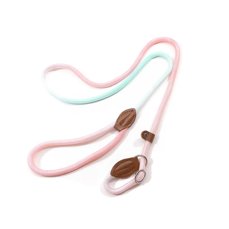 Braided Slip Lead for Dogs