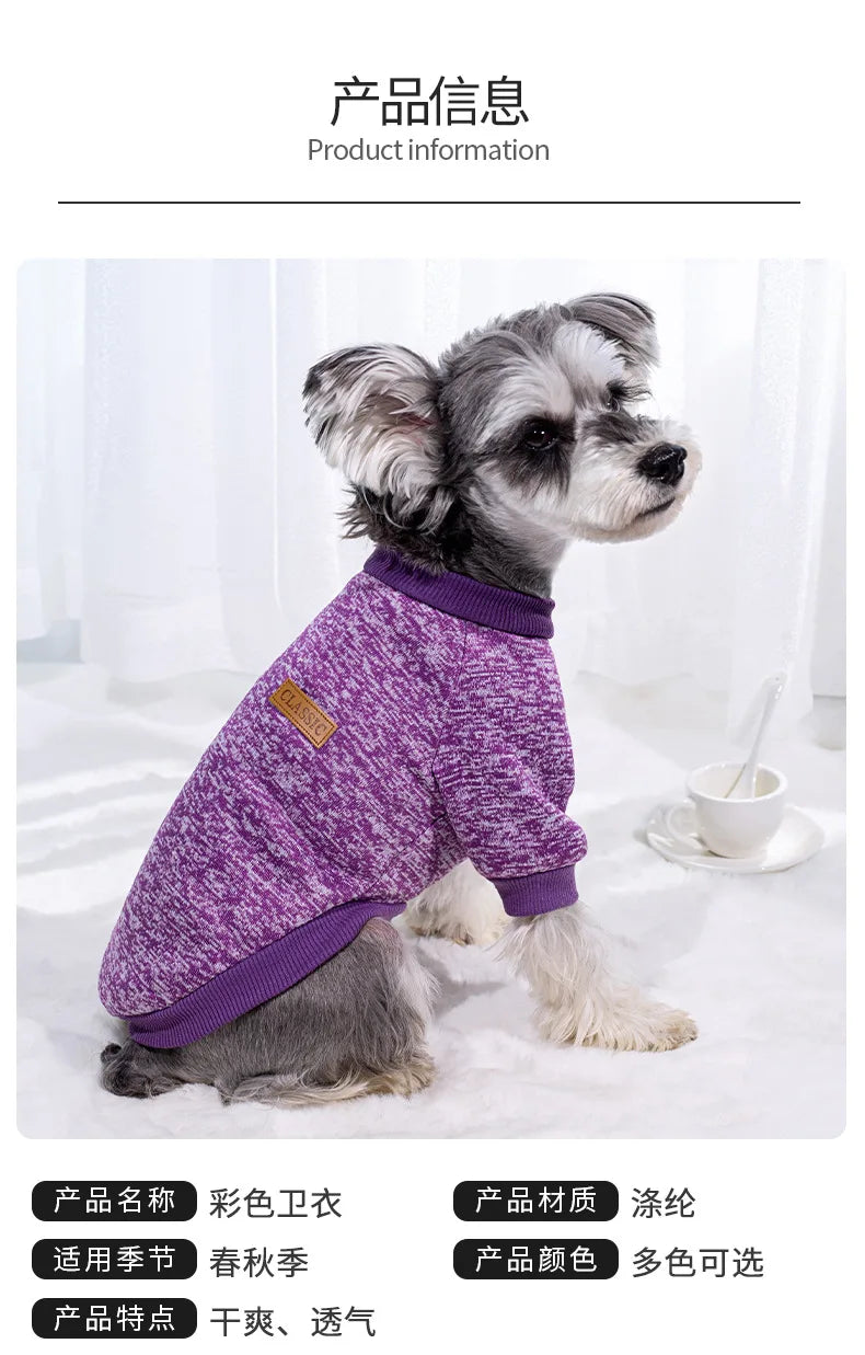 Small dog wearing a soft knitted round neck jumper – photo 6