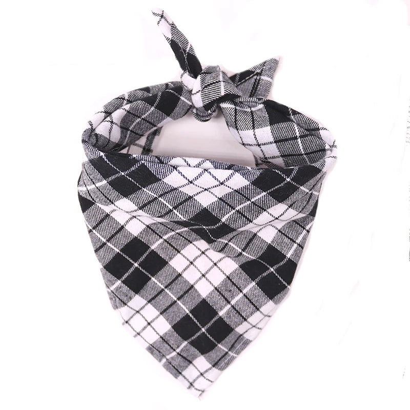 Dog wearing a plaid cotton bandana – photo 10