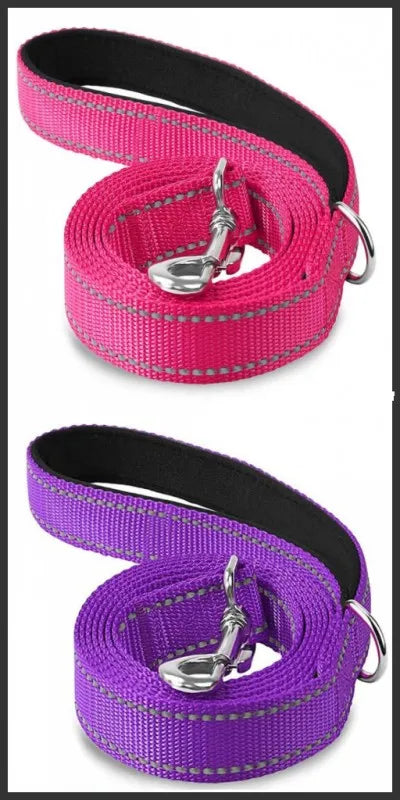 Reflective Lead for Dogs & Cats