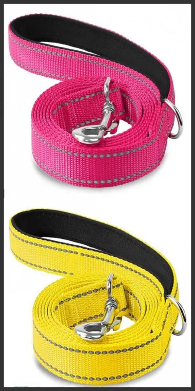 Reflective Lead for Dogs & Cats