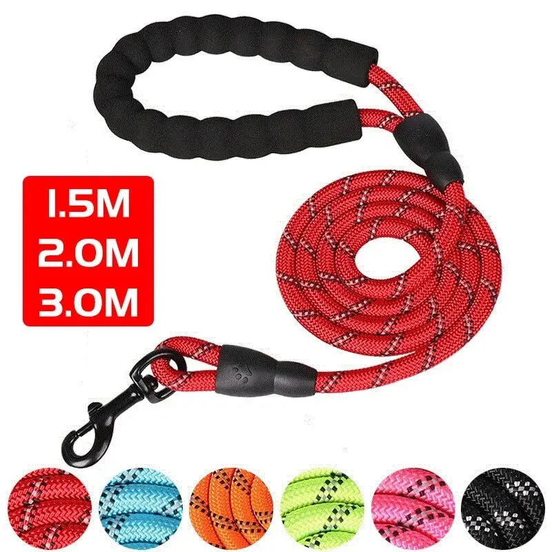 Reflective nylon dog lead with padded handle