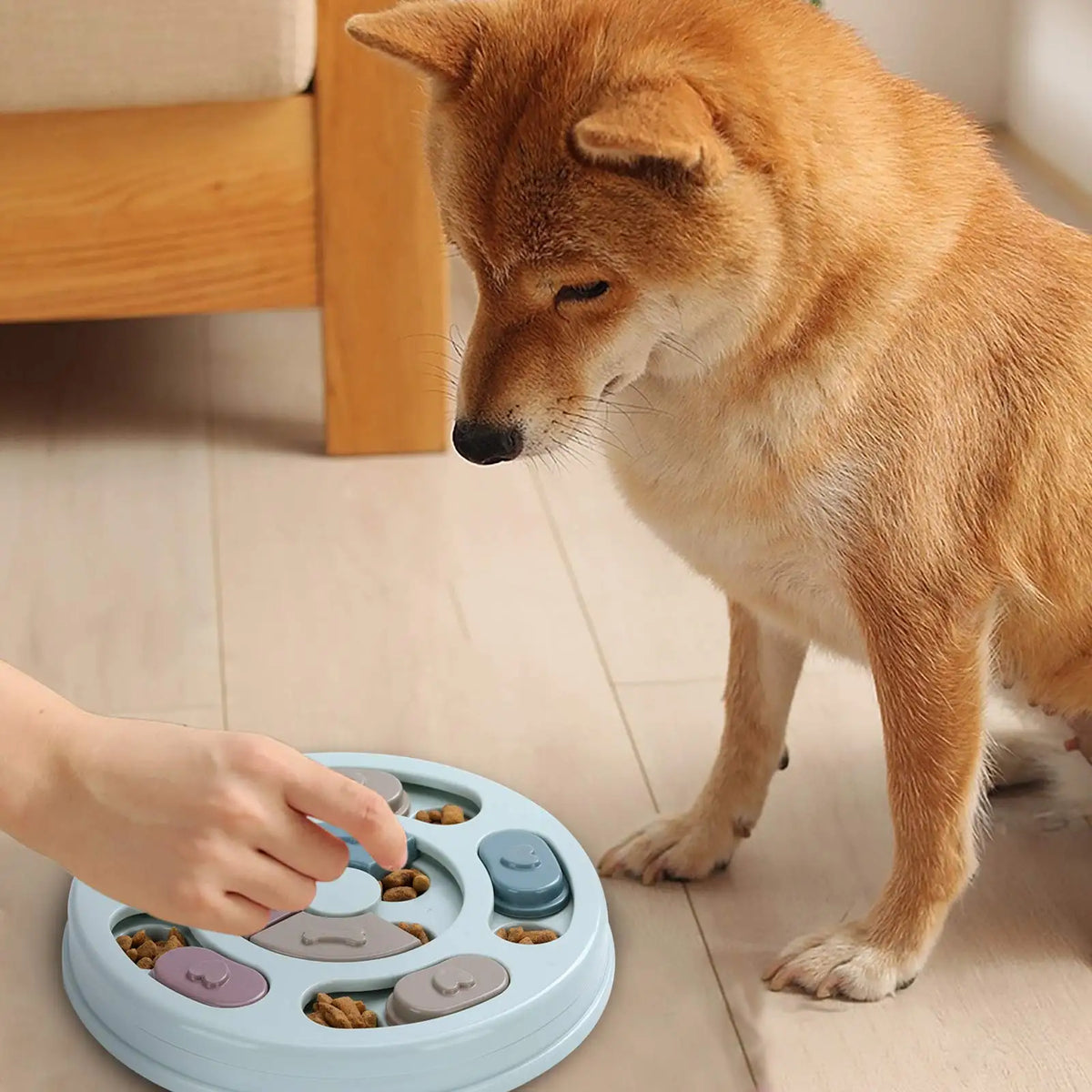 Dog playing with a sliding treat puzzle