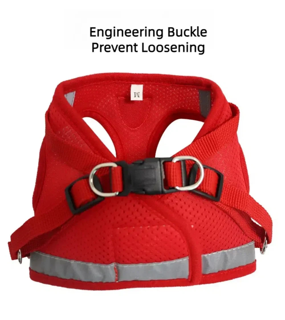 Reflective Mesh Harness & Lead Set for Cats