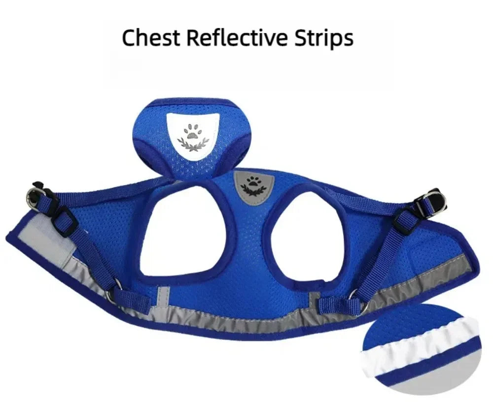 Reflective Mesh Harness & Lead Set for Cats