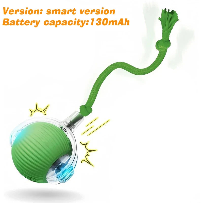Rechargeable Automatic Rolling Ball for Cats