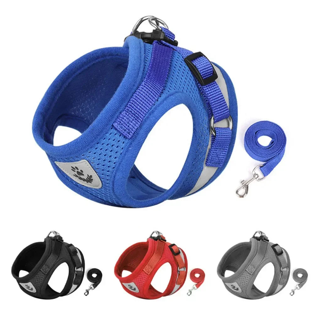Cat wearing a reflective mesh harness with lead – photo 3