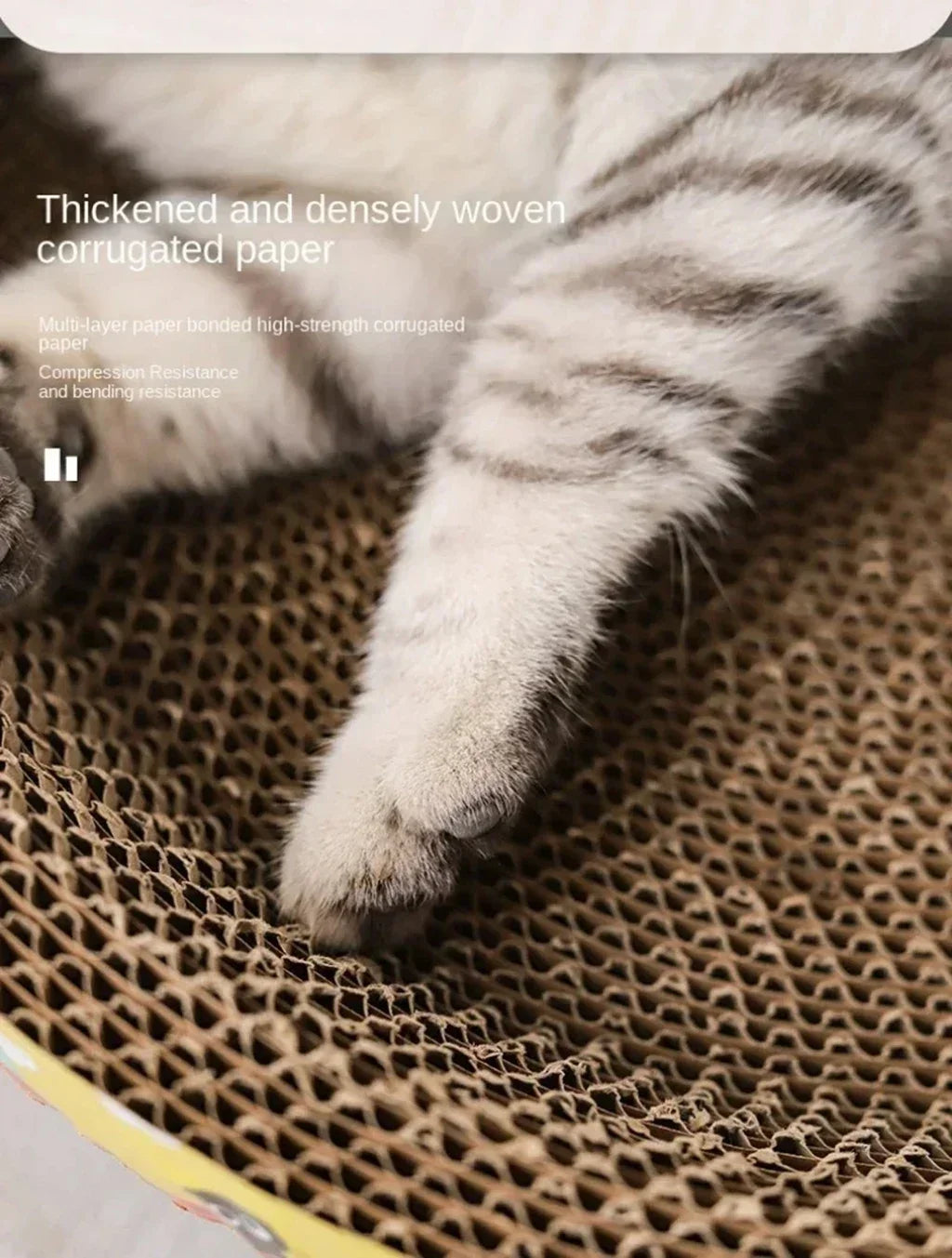 Cat on an oval corrugated cardboard scratcher – photo 10
