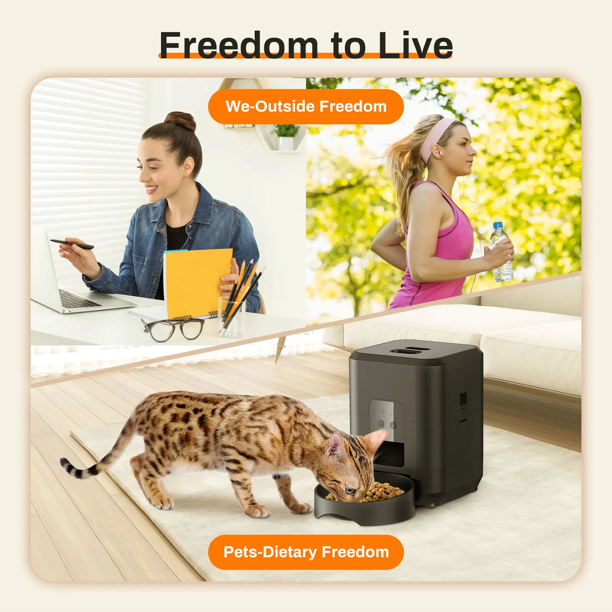 Automatic Timed Pet Feeder for Cats & Dogs