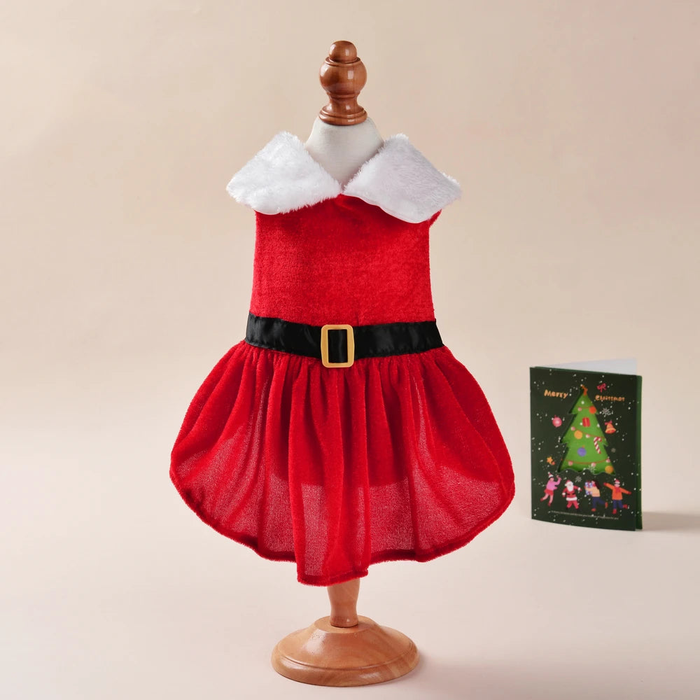 Cat wearing a red Santa Christmas dress – photo 7