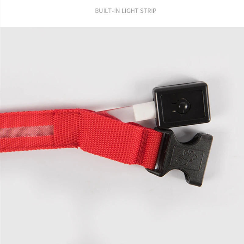 LED Light-Up Dog Collar, USB or Battery Powered