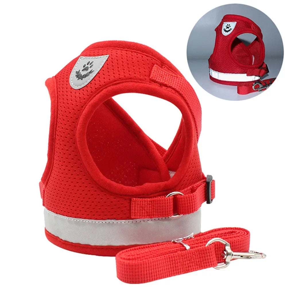 Reflective Mesh Harness & Lead Set for Cats