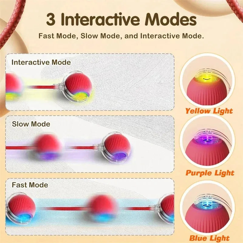 Rechargeable Rolling Ball Toy for Dogs
