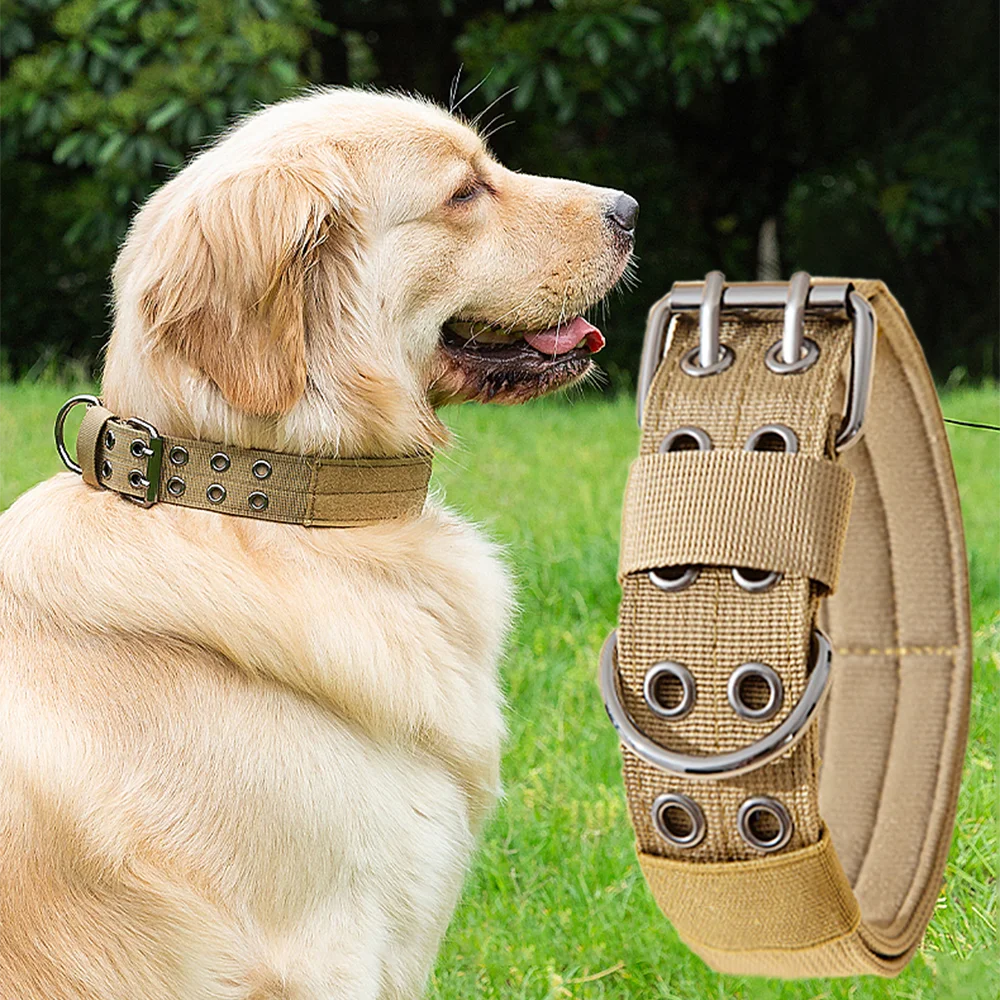 Military-style nylon dog collar with metal buckle and D-ring