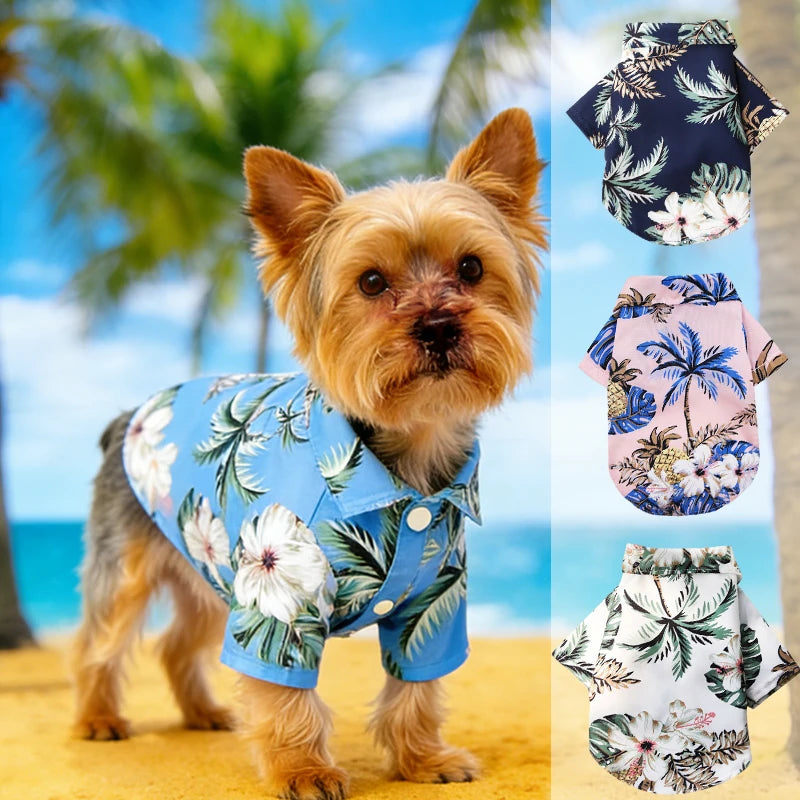 Dog wearing a Hawaiian pineapple-print shirt