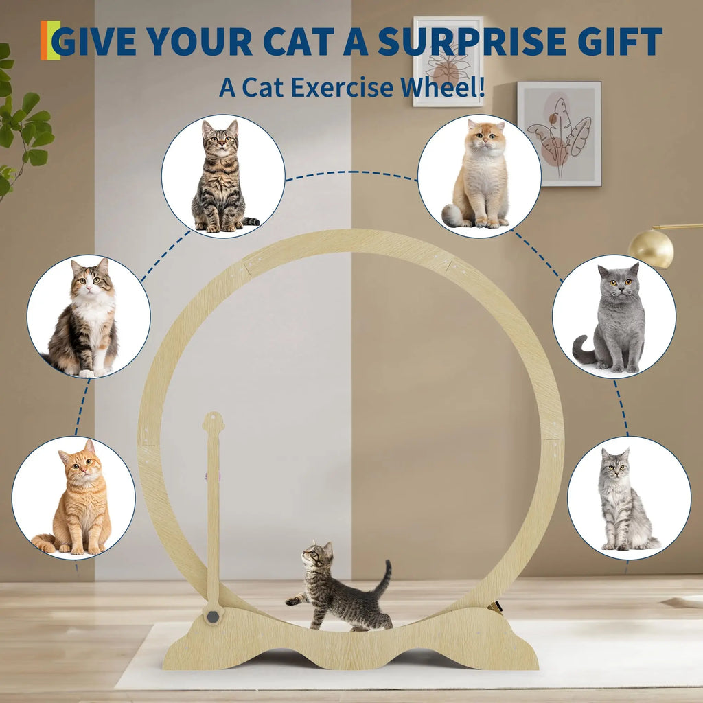 114cm Cat Exercise Wheel with Carpet Track & Lock