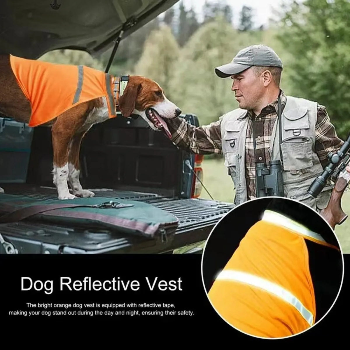Dog wearing a reflective high-visibility vest – photo 3