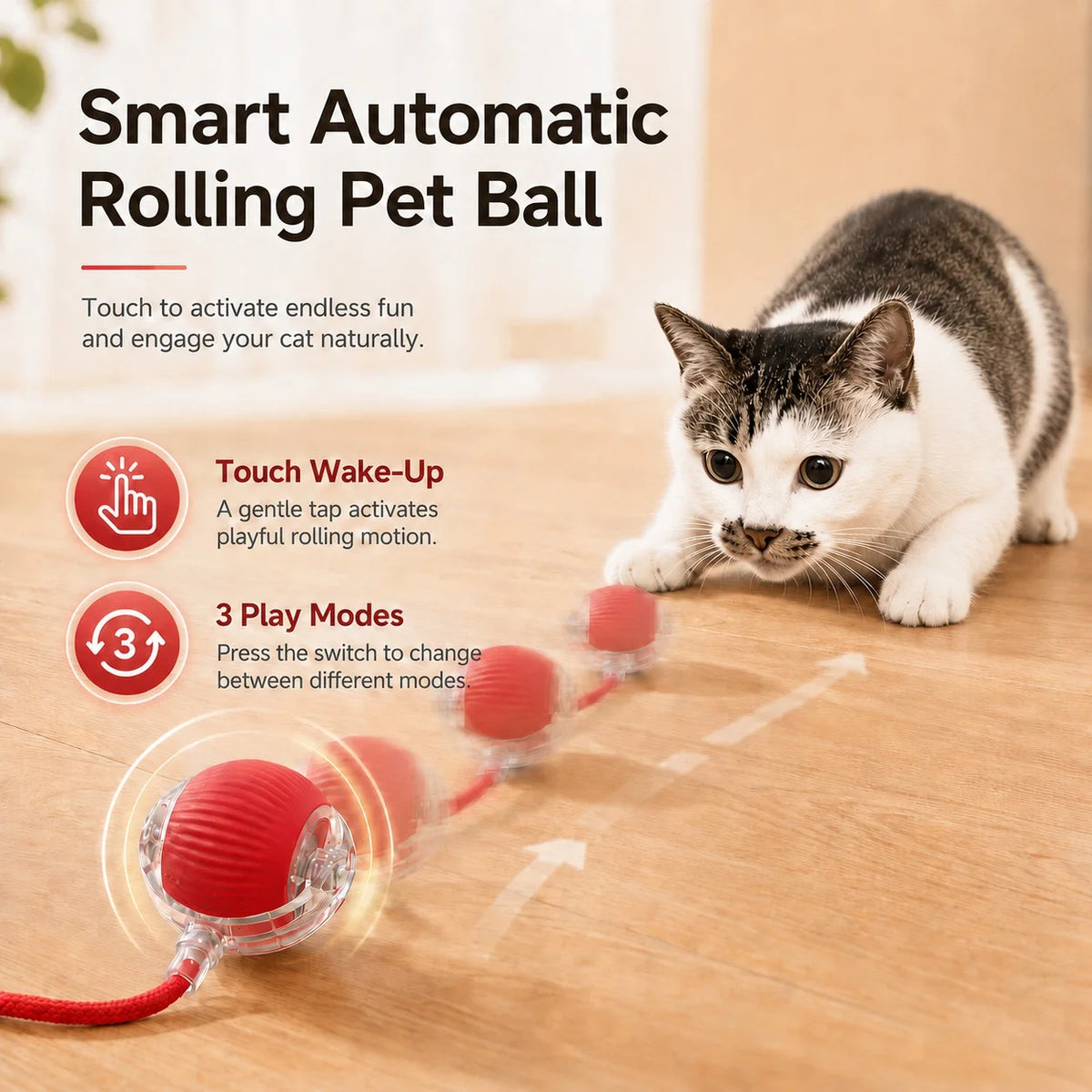 Cat chasing an automatic rolling ball toy with a tail – photo 3