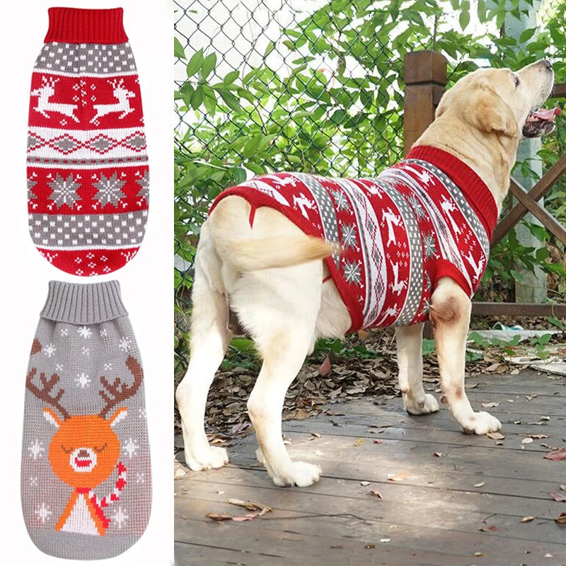 Dog wearing a Christmas reindeer knitted jumper – photo 5