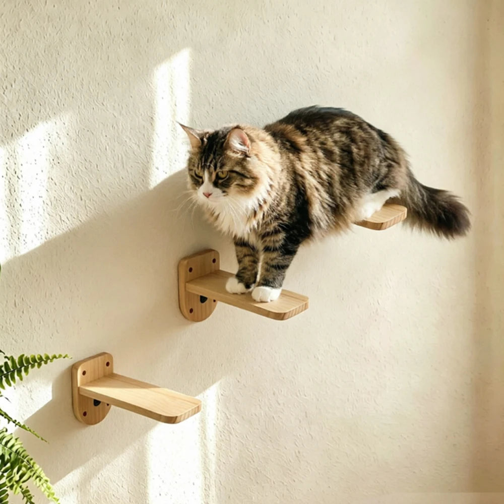 Cat resting on wall-mounted wooden cat shelves and perches – photo 9