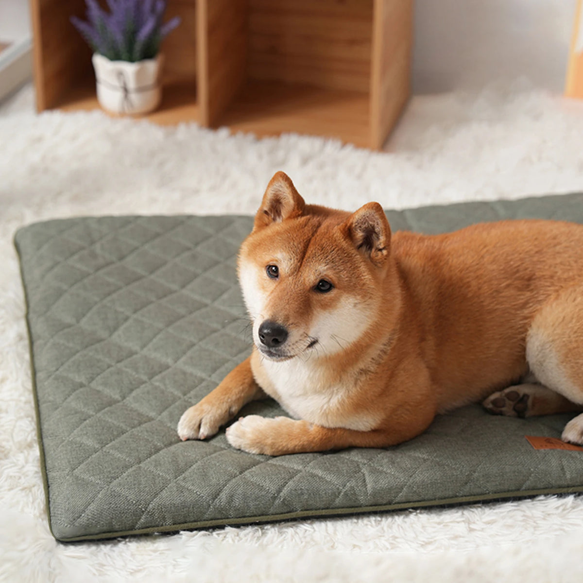 Washable Dog Crate Mat with Non-Slip Base