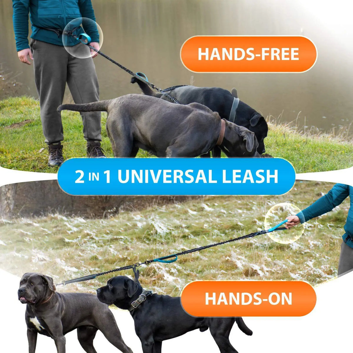Hands-Free Double Dog Lead with Padded Handles