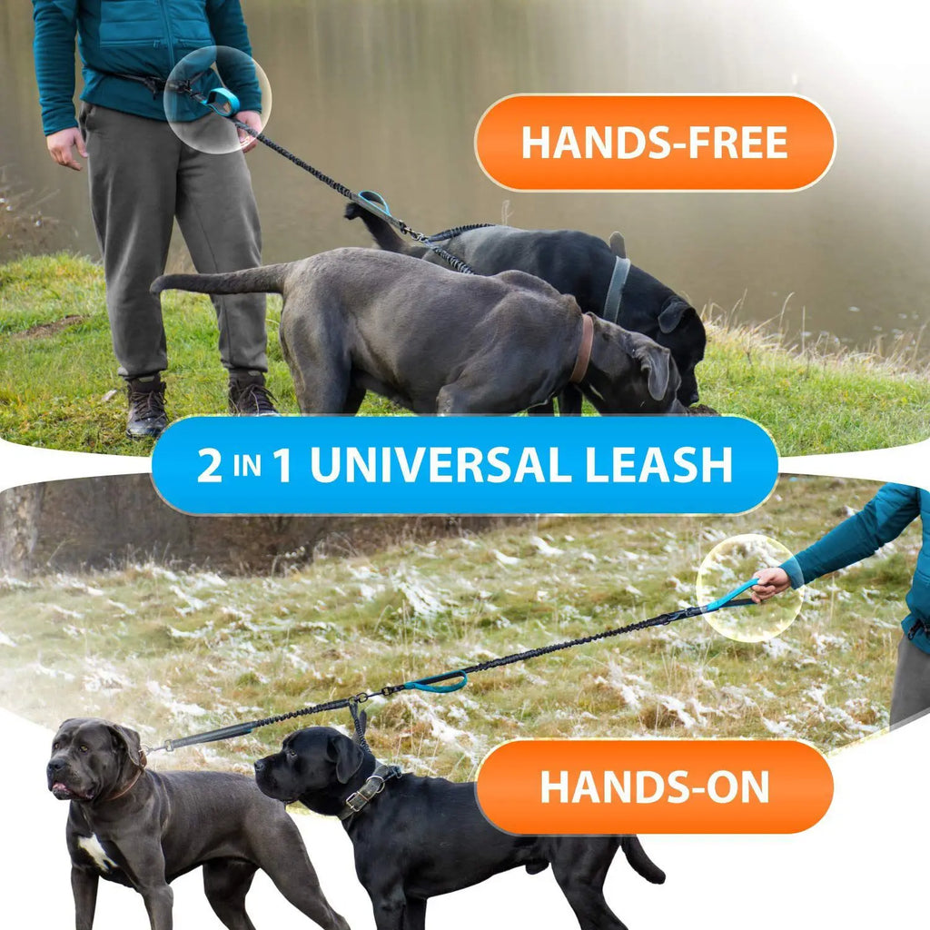 Hands-free double dog lead with padded handles – photo 2