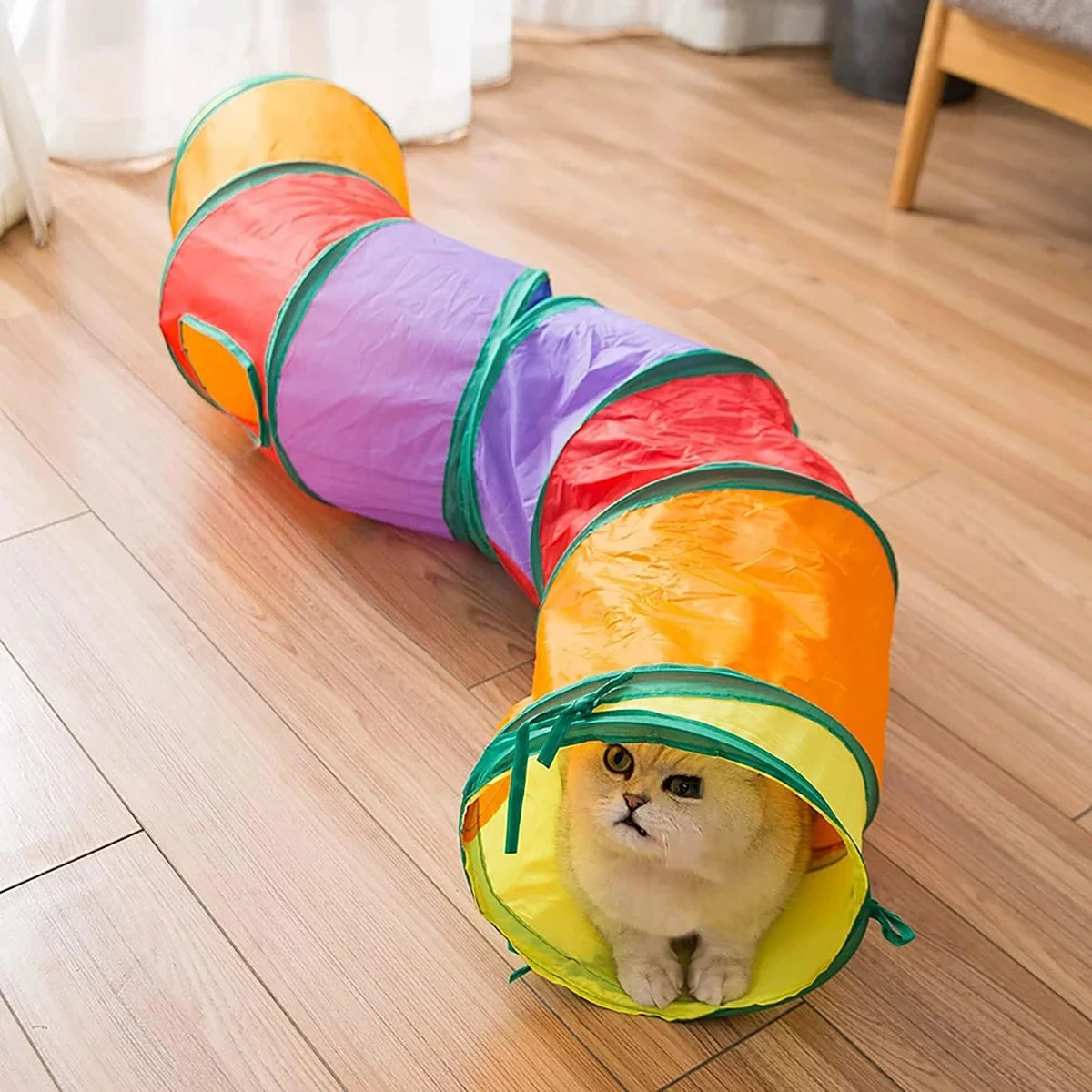 Cat playing in a foldable fabric play tunnel – photo 3