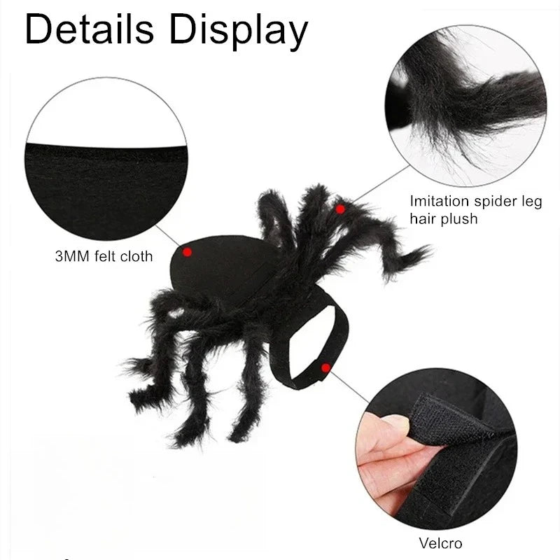 Cat wearing a black furry spider costume – photo 3