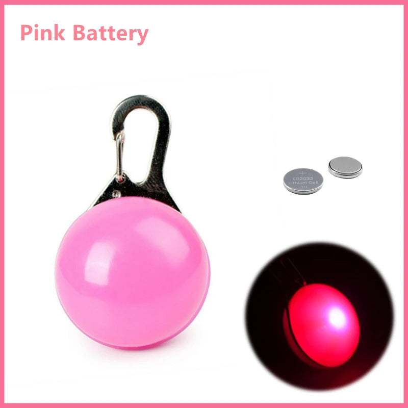 LED Light-Up Dog Collar, USB or Battery Powered