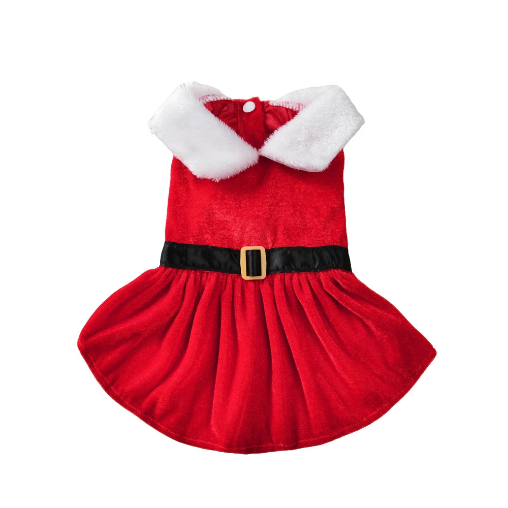 Cat wearing a red Santa Christmas dress – photo 2