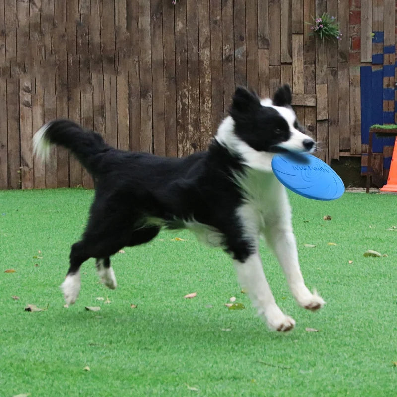 Colourful soft silicone flying disc toy for dogs – photo 3