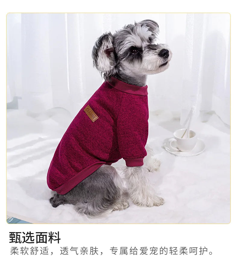Small dog wearing a soft knitted round neck jumper – photo 9