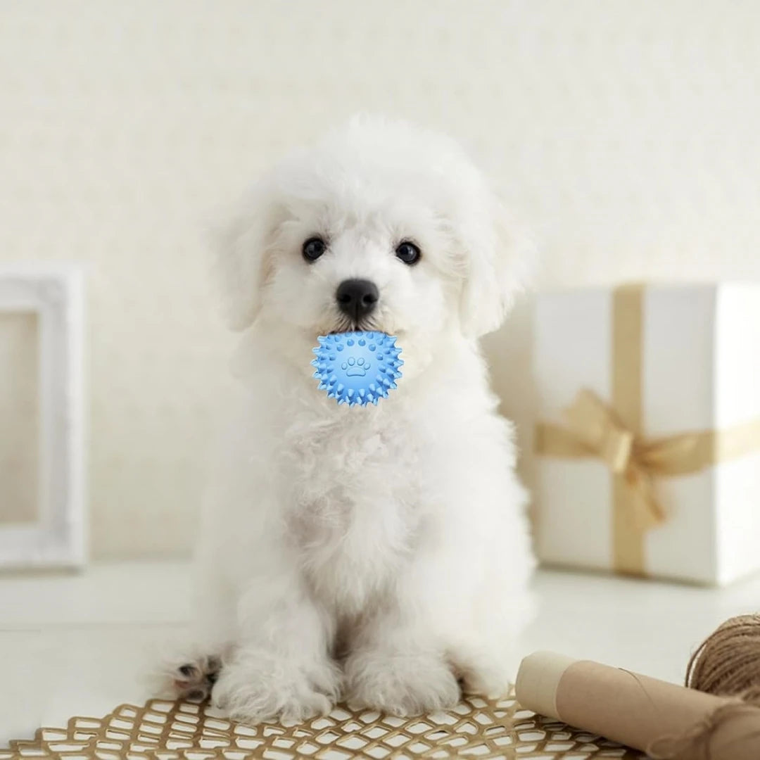 Set of three soft rubber puppy chew toys – photo 3