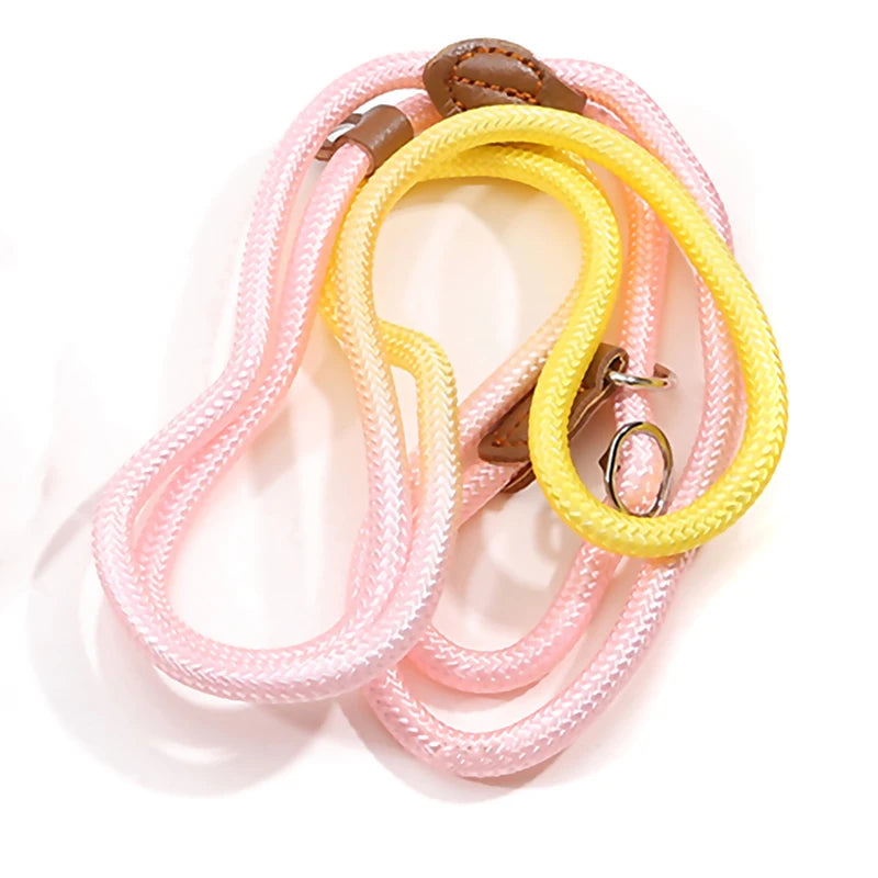 Braided Slip Lead for Dogs