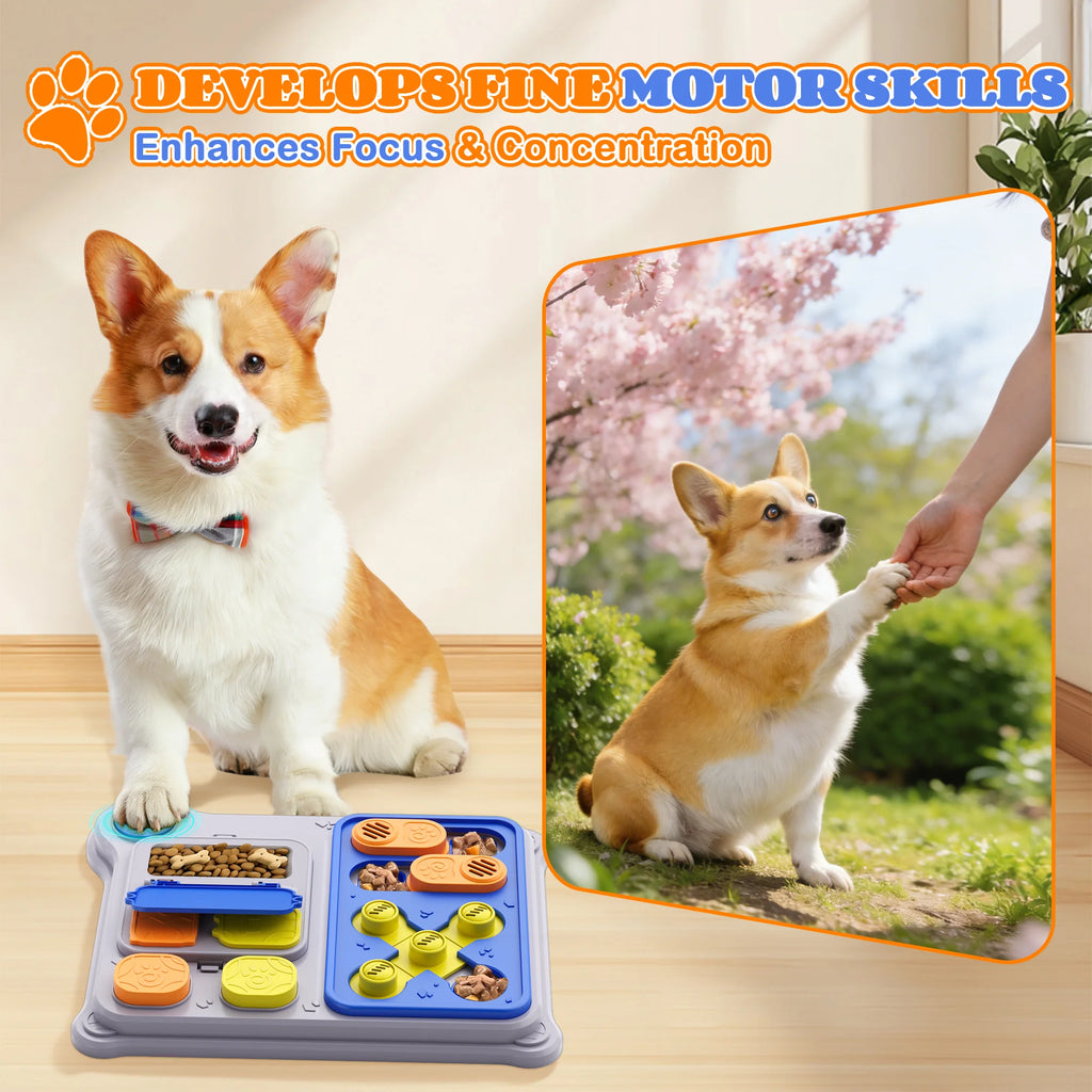 Dog playing with an interactive treat puzzle toy – photo 11